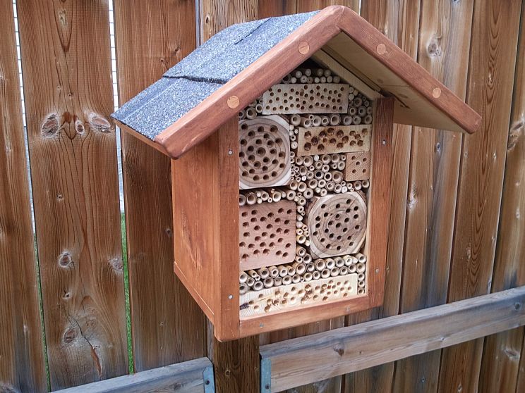 Bee House