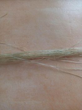 How to Make Rope / String With Natural Plant Fibers : 6 Steps (with ...
