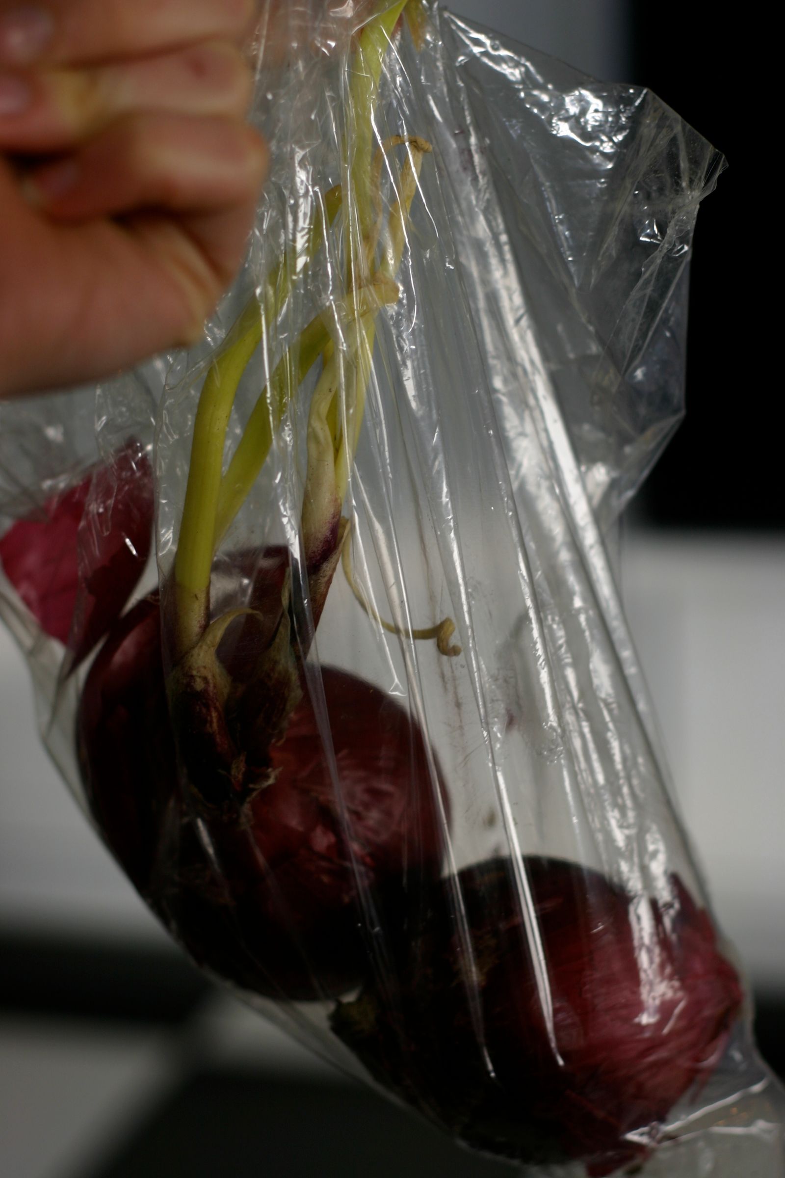 How to Store Onions and Potatoes Instructables