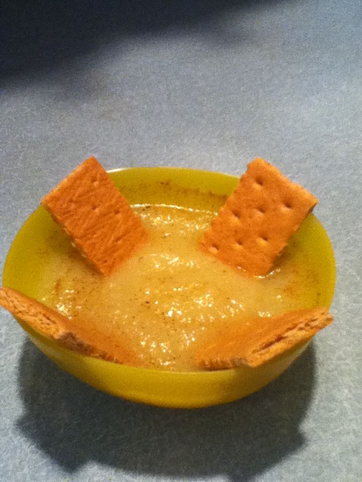 Graham Cracker Apple Sauce Treat