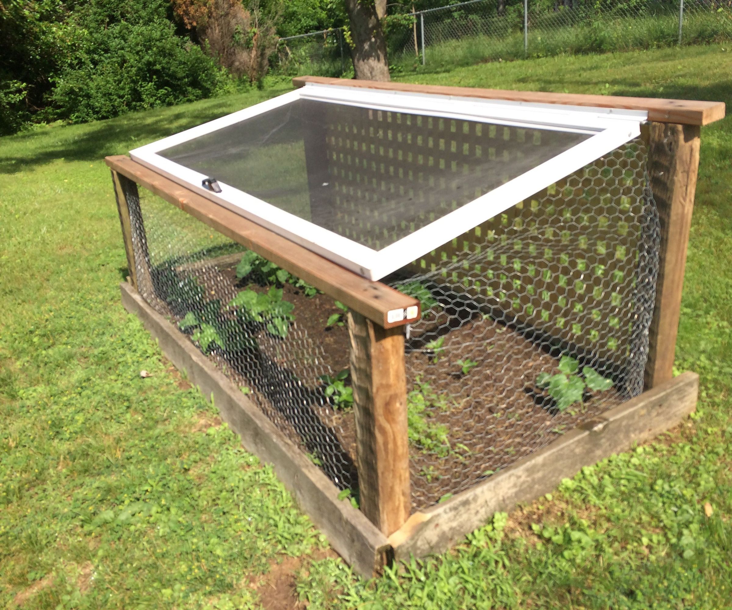 Garden Fortress to Stop Deer and Other Vegetable Predators