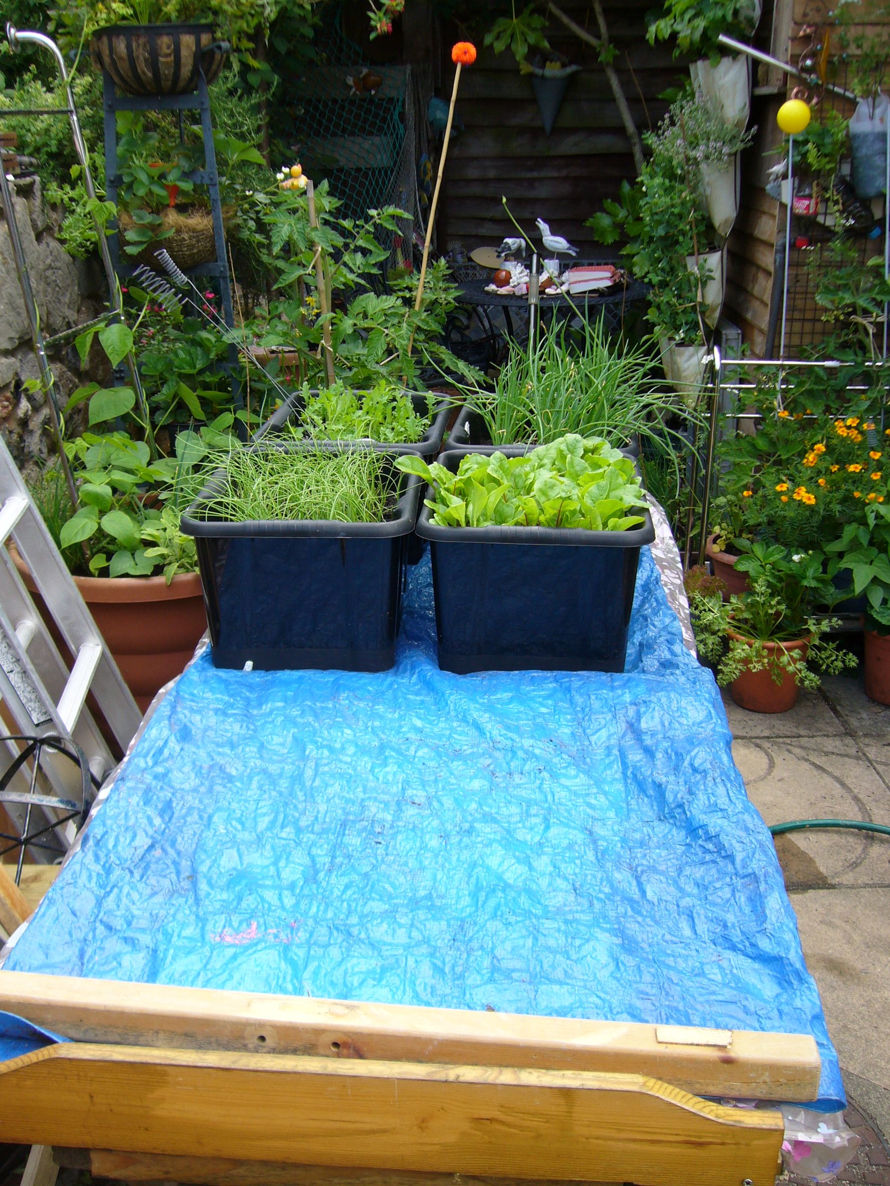 RAISED Vegetable Bed With Storage Underneath 7 Steps (with Pictures