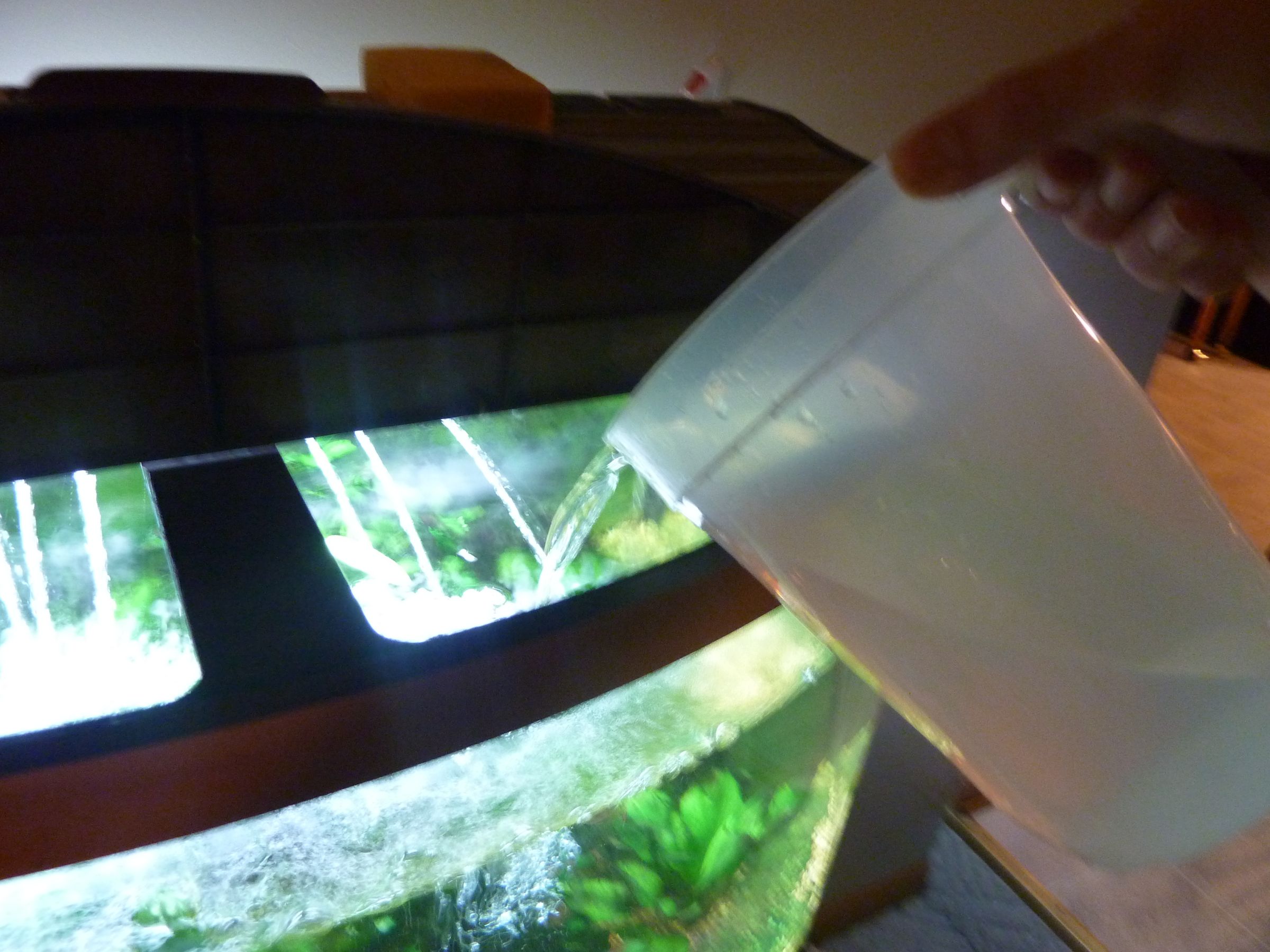 How to Do Complete Routine Aquarium Maintenance 5 Steps Instructables