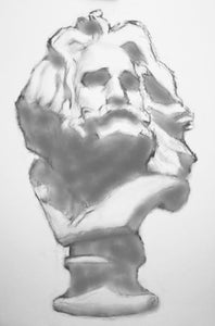 Fill in the Shadow Shapes