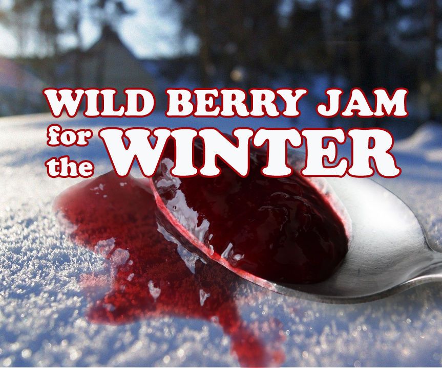 Wild Berry Jam for the Winter
