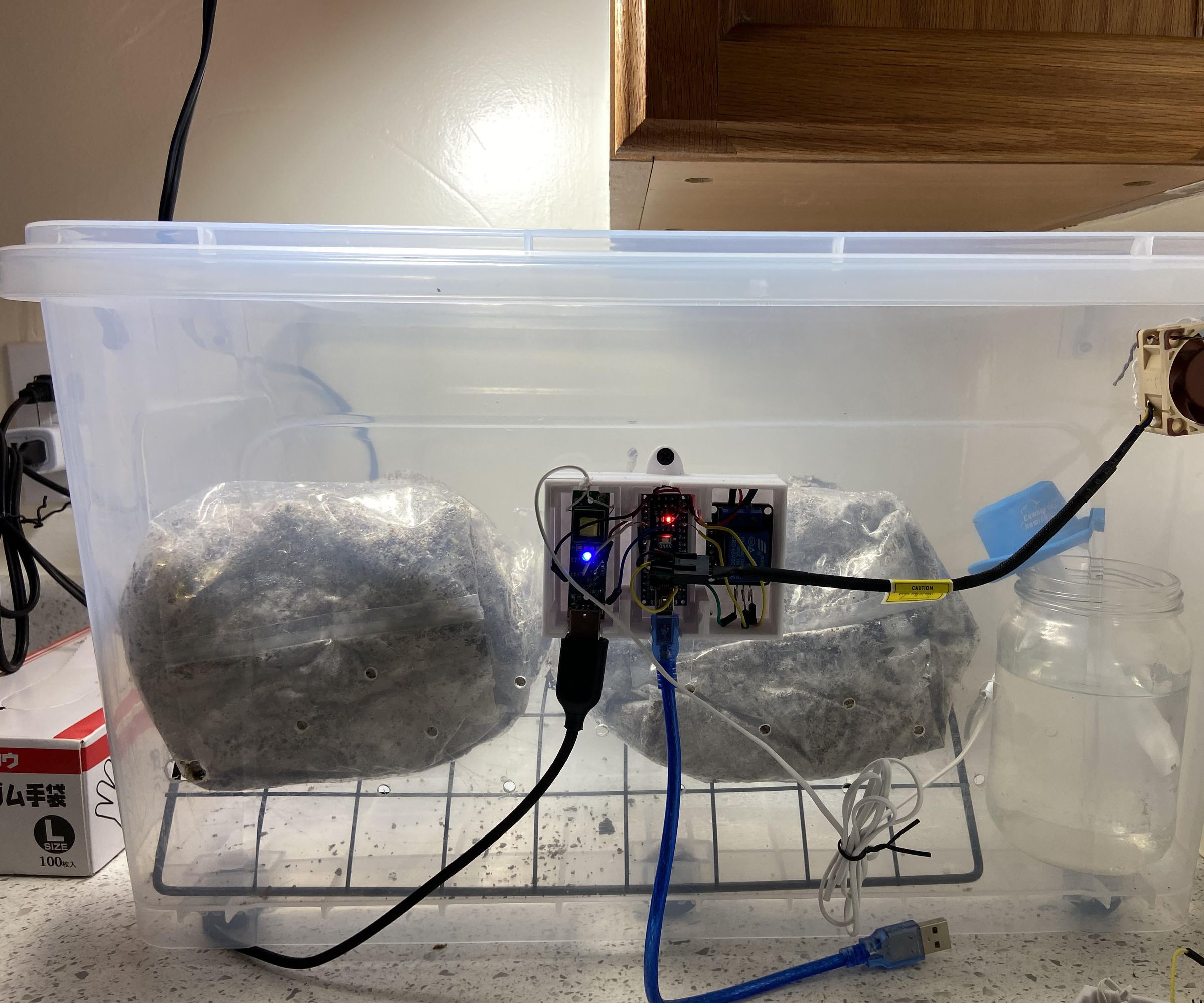 Auto Mushroom Shotgun Chamber
