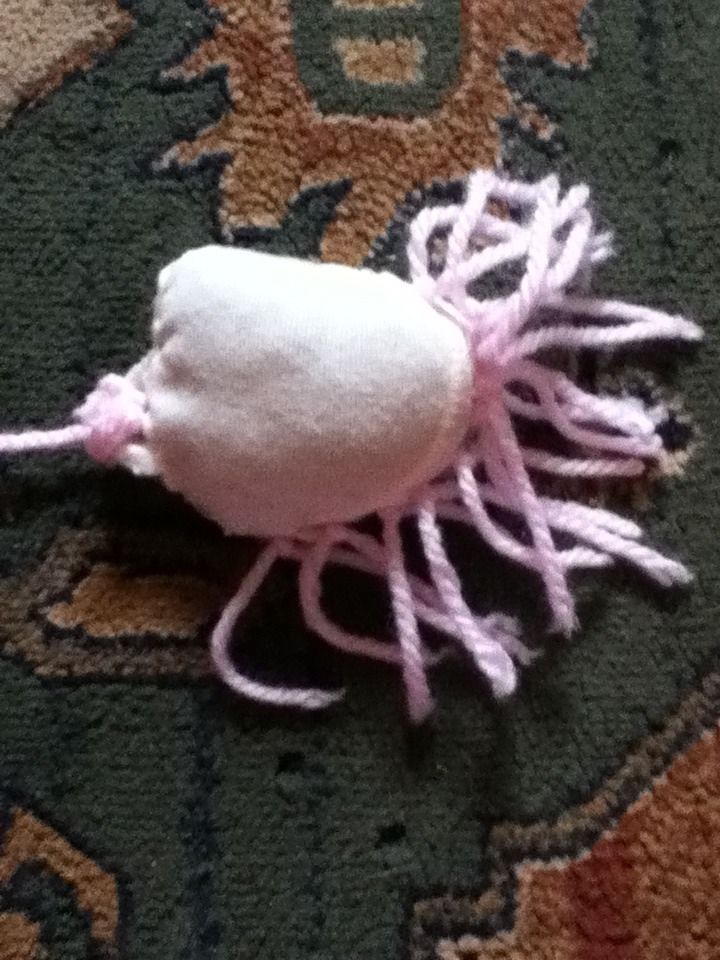 5 Minute Cat Chase Toy