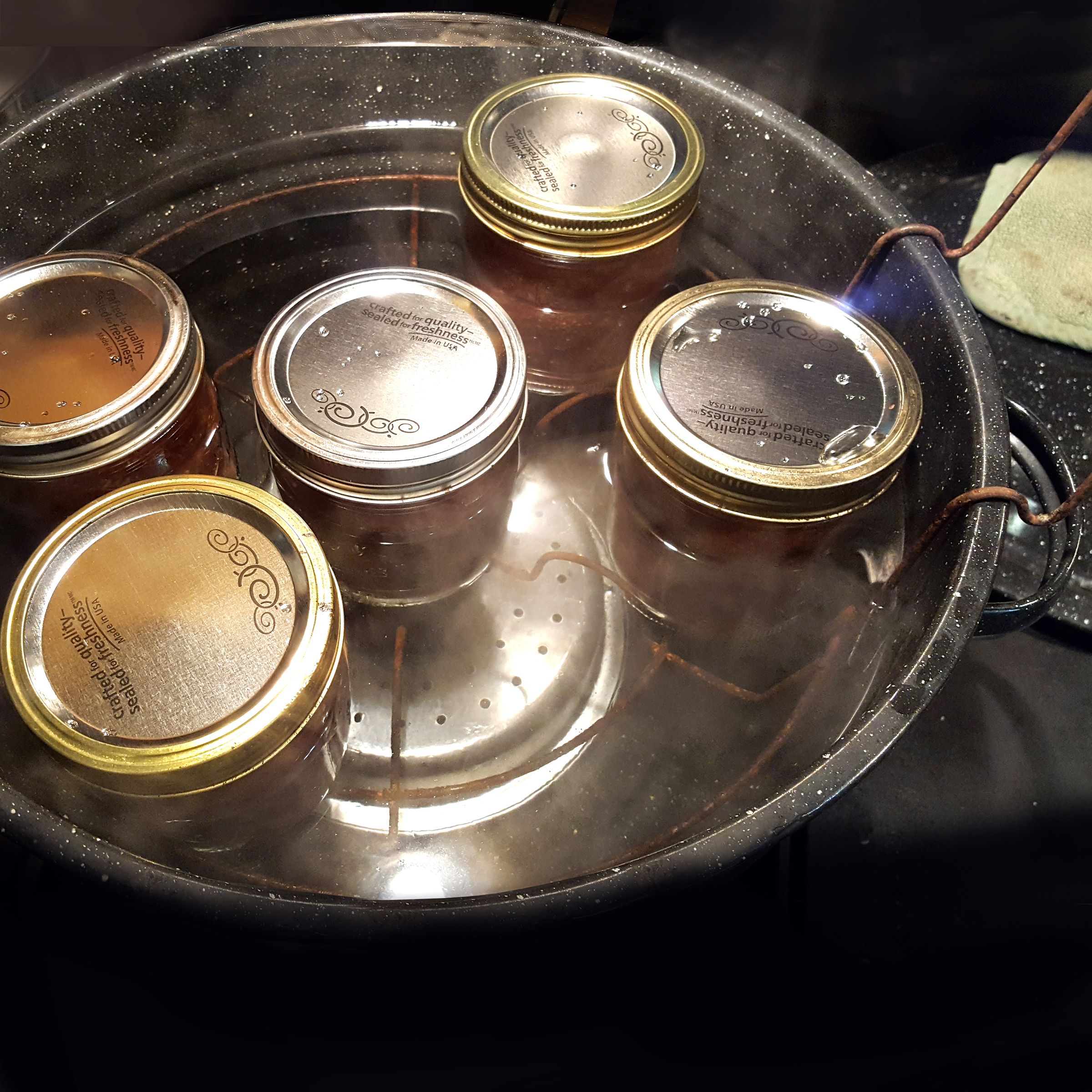 Fig Jam 10 Steps (with Pictures) Instructables