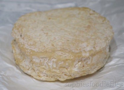 Vegetarian Cheese Spelt Pasta