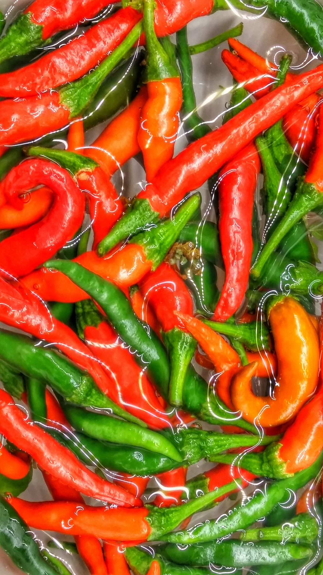 Thai Chillies - Pickled