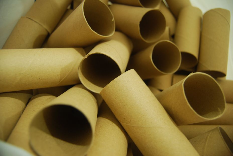 DIY Toilet Roll Pixel Boy