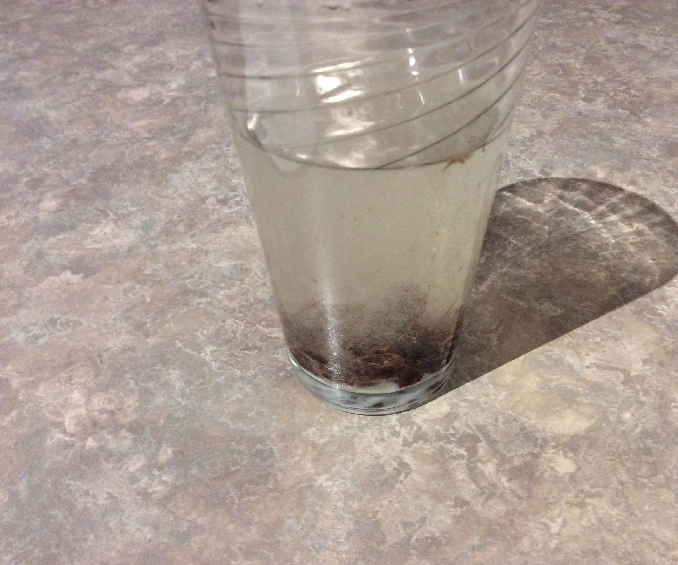 The Dancing Raisins Experiment