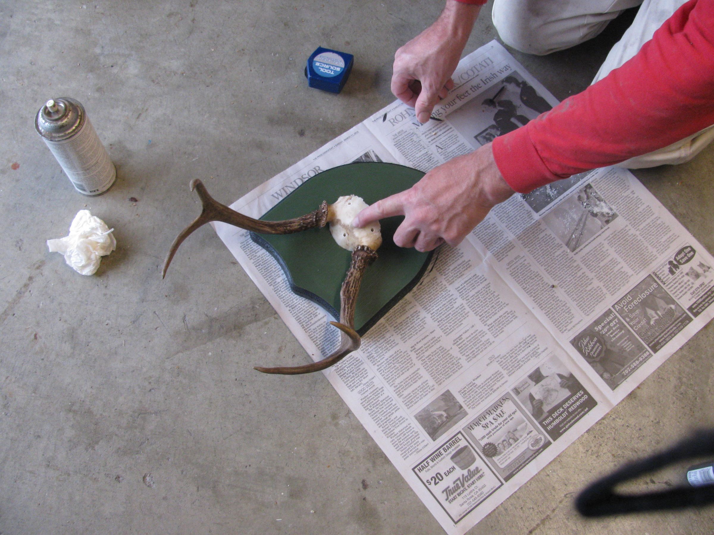 How to Mount Deer Antlers Instructables