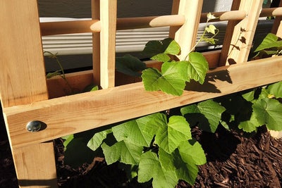 Sıkı Çalışmanızda eğlenin