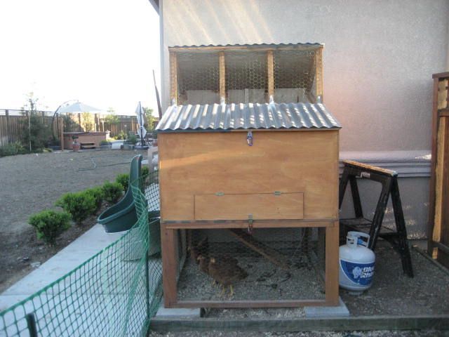 How to Make the Perfect Chicken Coop for Three Chickens!