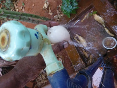Wash and Clean the Egg Shells