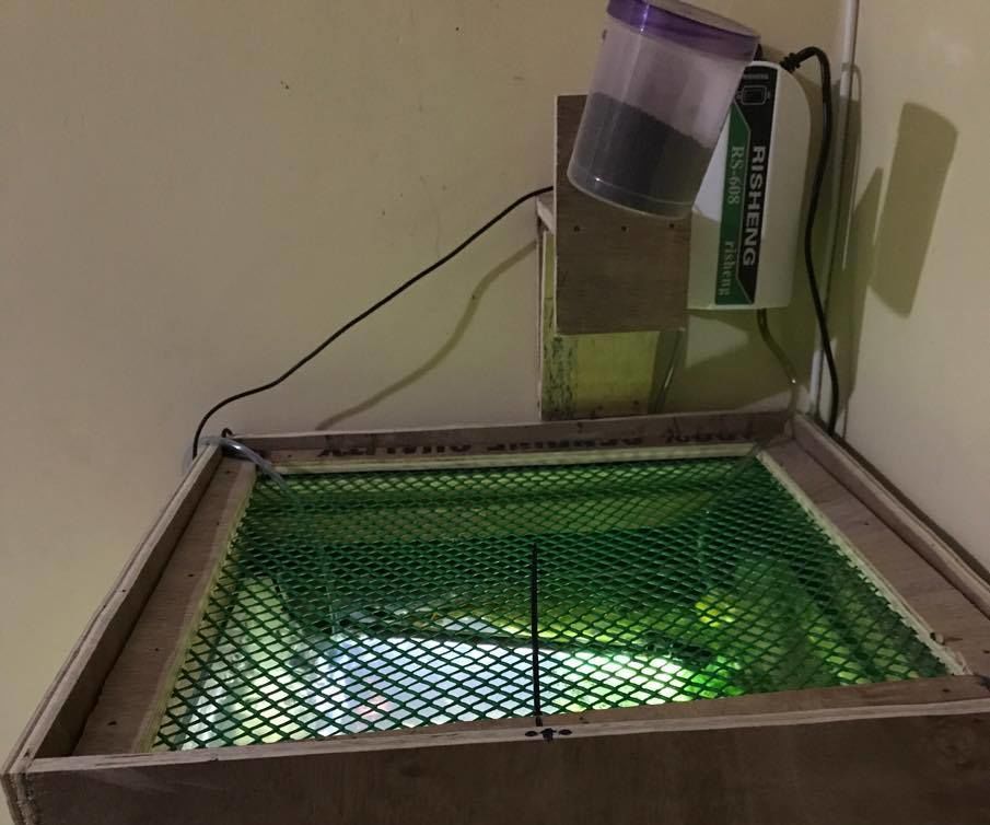 ATtiny85 Automated Fish Feeder