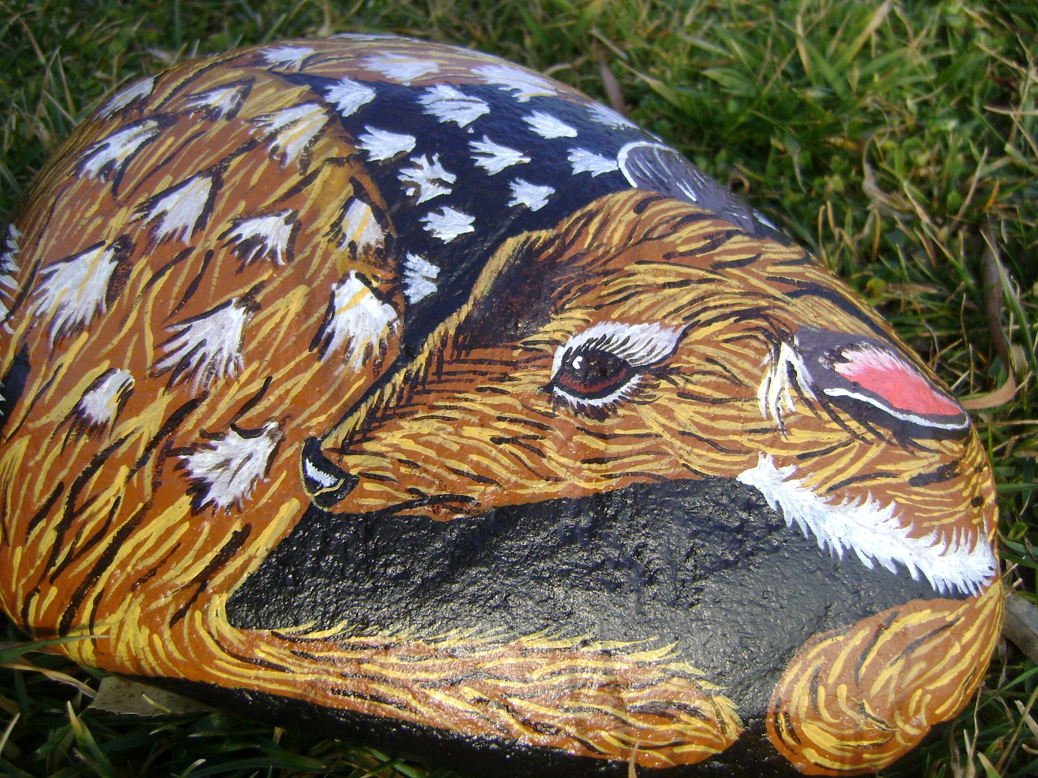 Deer Painted Rock