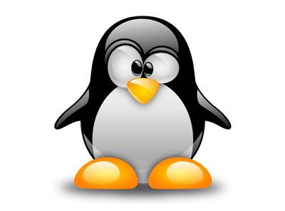 Apache SSL WebDav Server