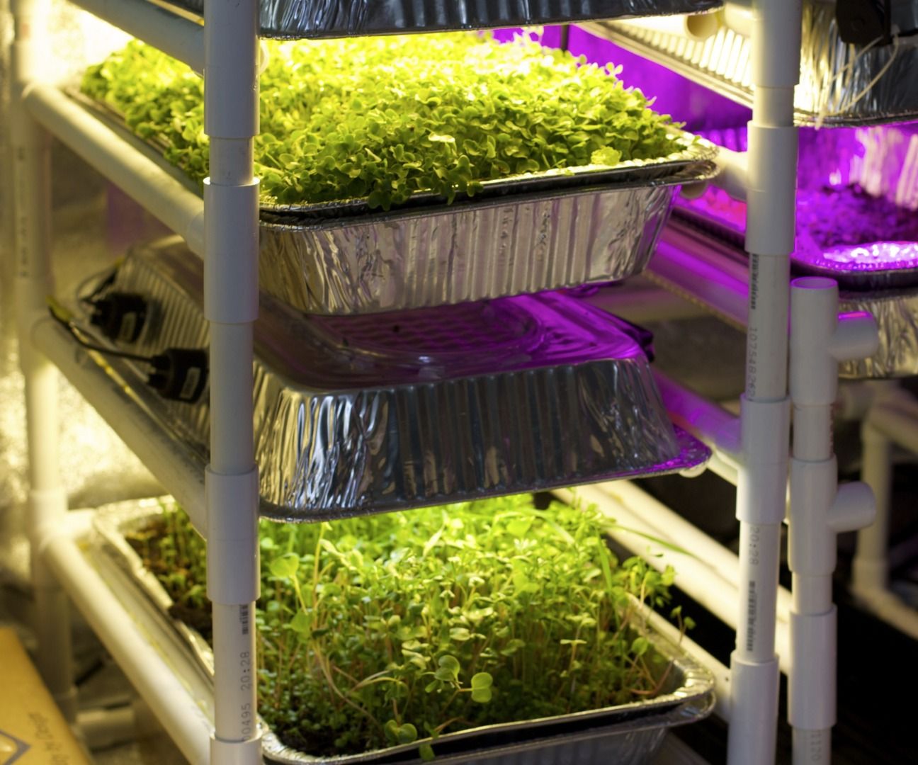 Grow Light and Irrigation Hood - 54W, 3300 Lumens, $18