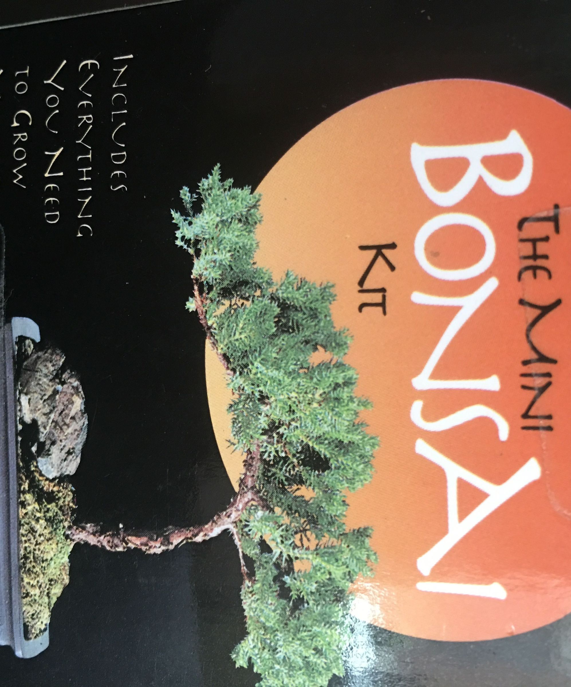 How to Grow a Bonsai Tree