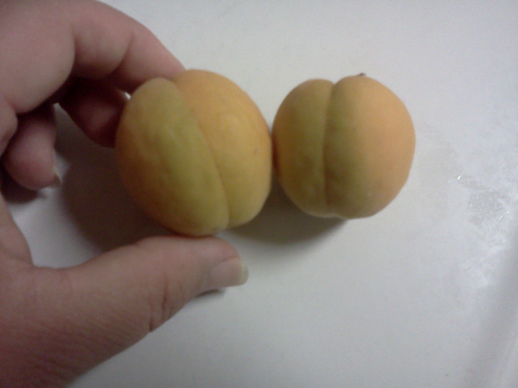 Dehydrating Apricots 4 Steps (with Pictures) Instructables