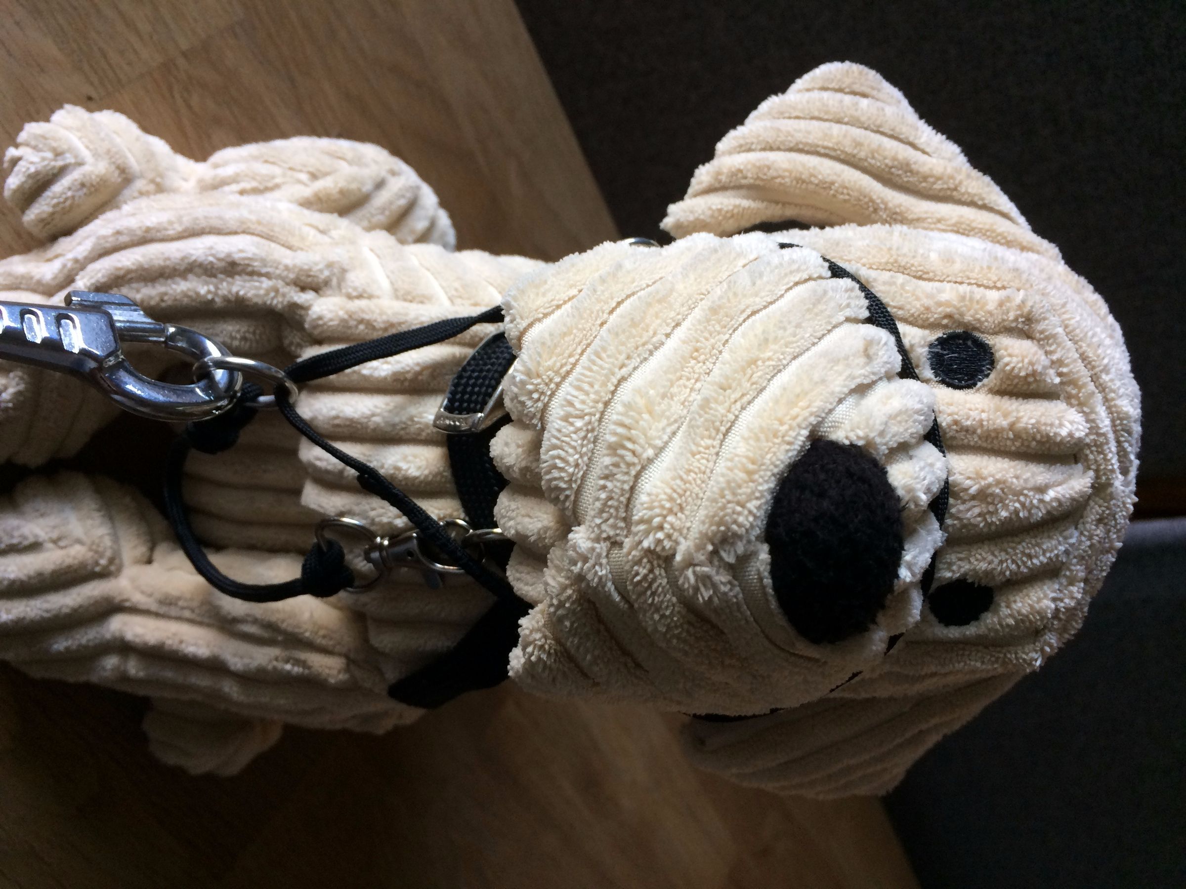 DIY Dog Halter/ Head Collar 7 Steps (with Pictures) Instructables