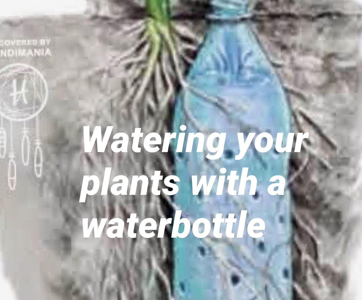 Watering Plants With Waterbottle Hack 