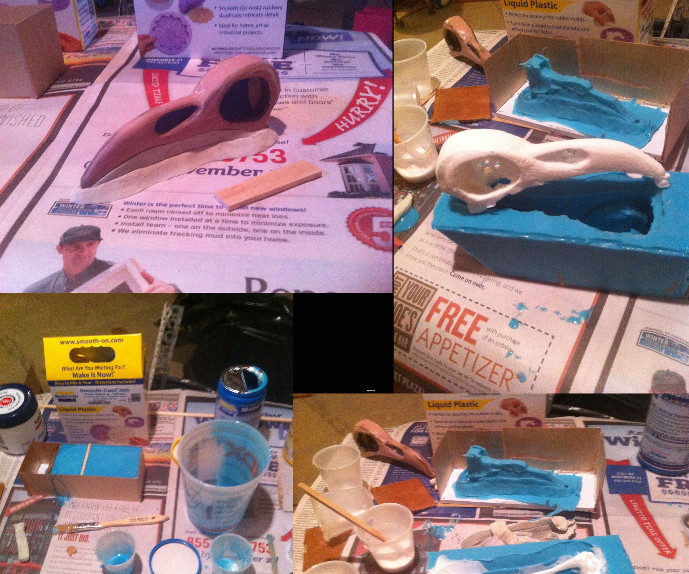 Plastic Bird Skull