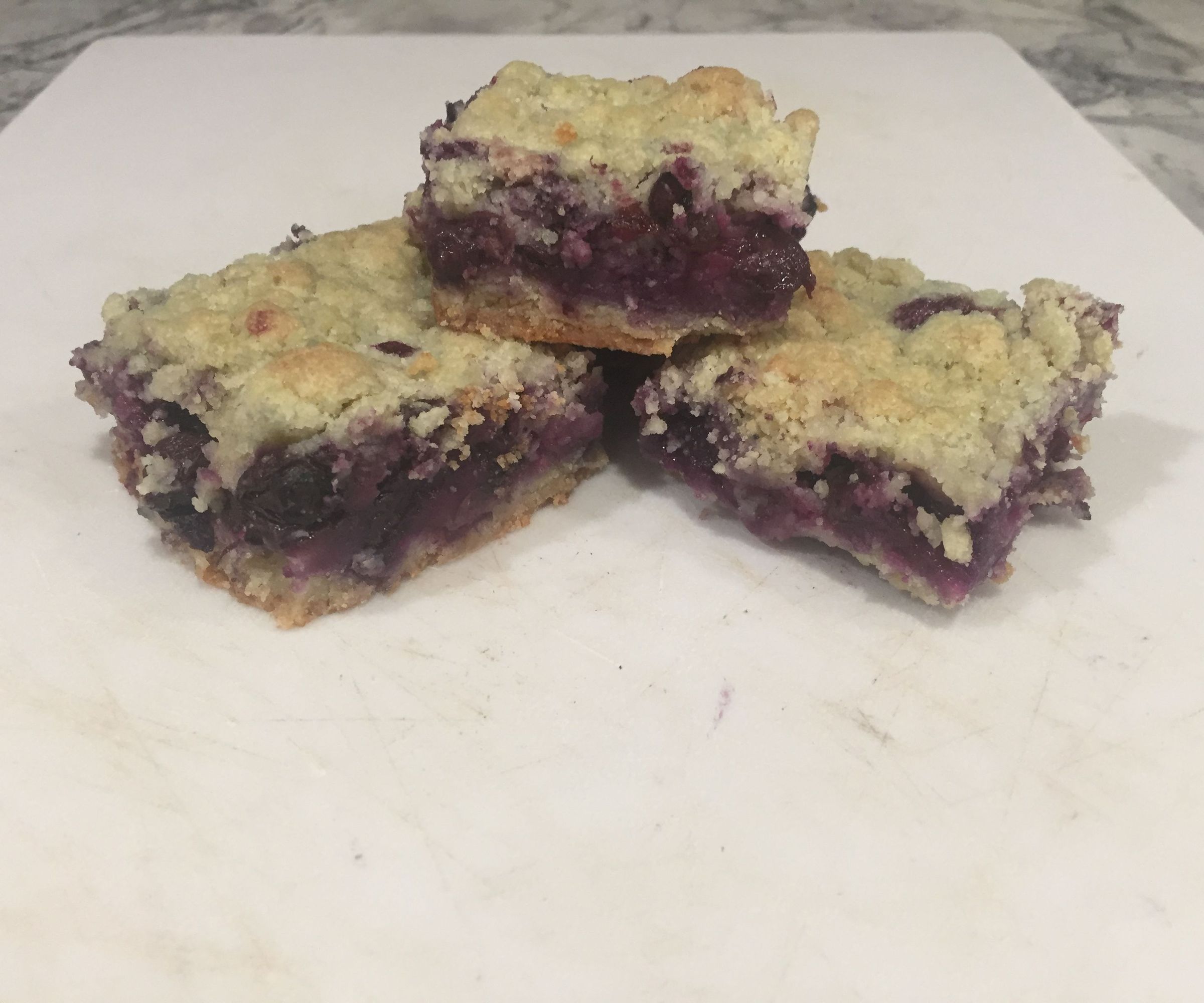 Blueberry Crumb Bars (Indigo)