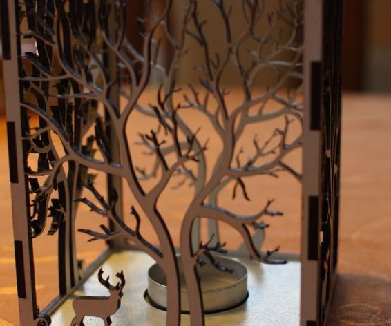 Natural Lamp