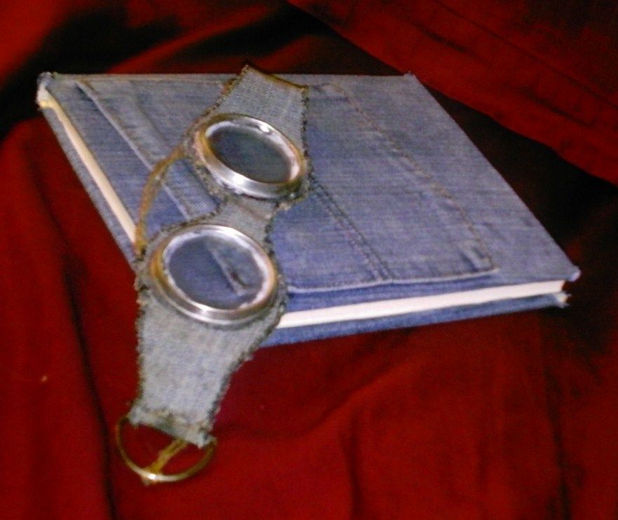 Denim Book Cover