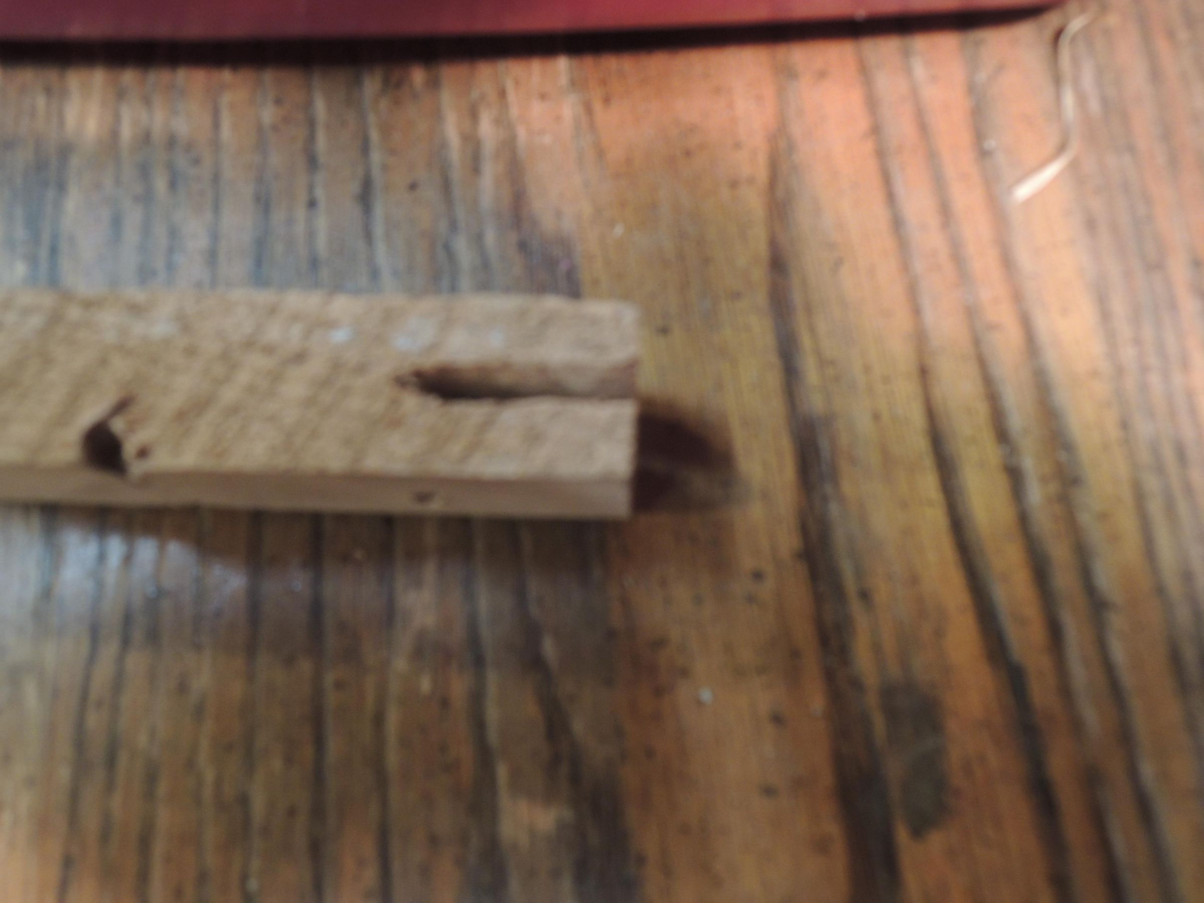 Souped Up Cat/Bunny Litter Box W/ Handicapped Access 5 Steps (with