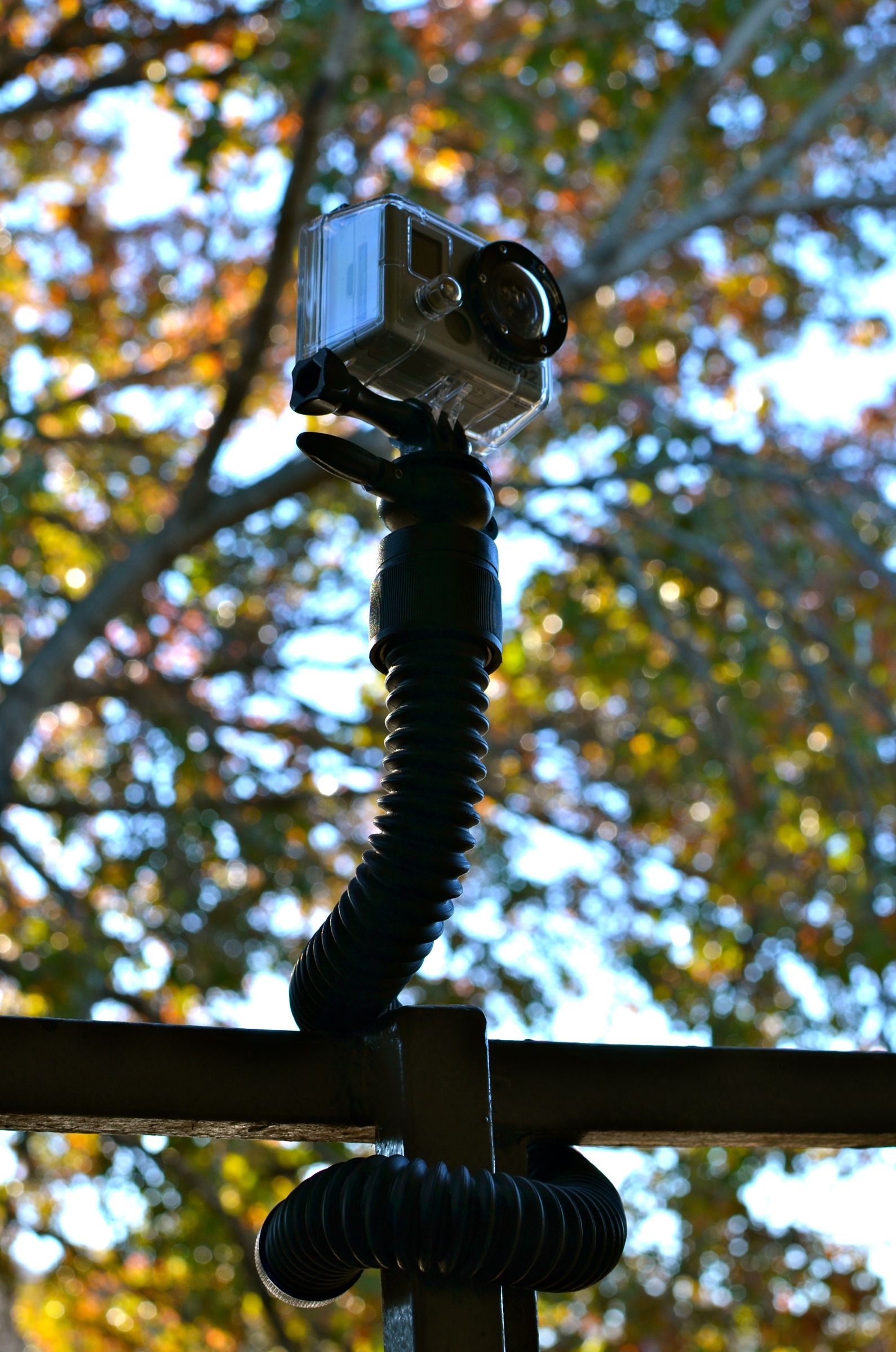 CameraSnake Photos