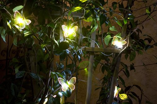 6 Tips on How to Choose Solar Landscape Lighting.