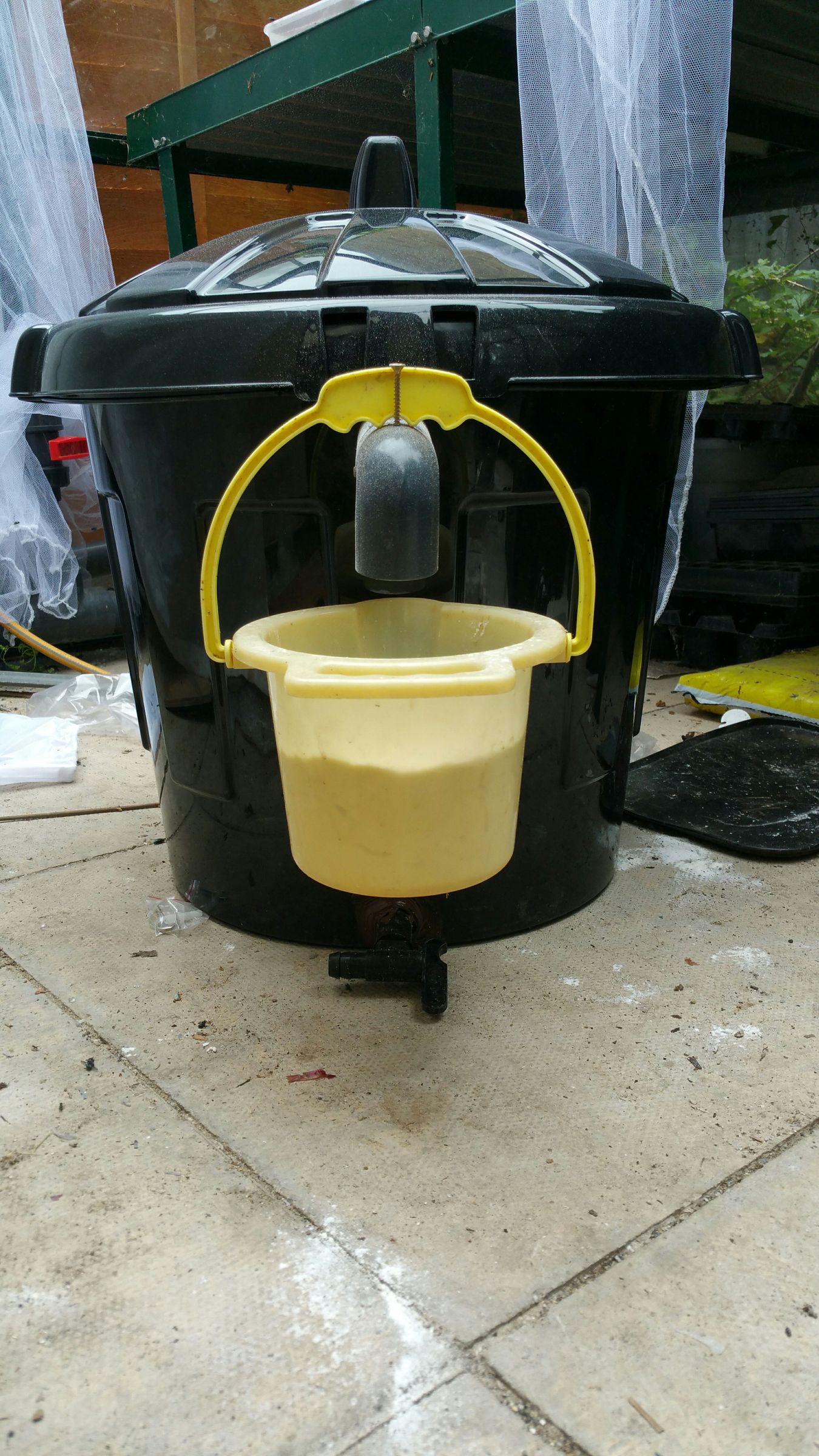 Fly Cage Black Soldier Fly Breeding UK. 9 Steps (with Pictures