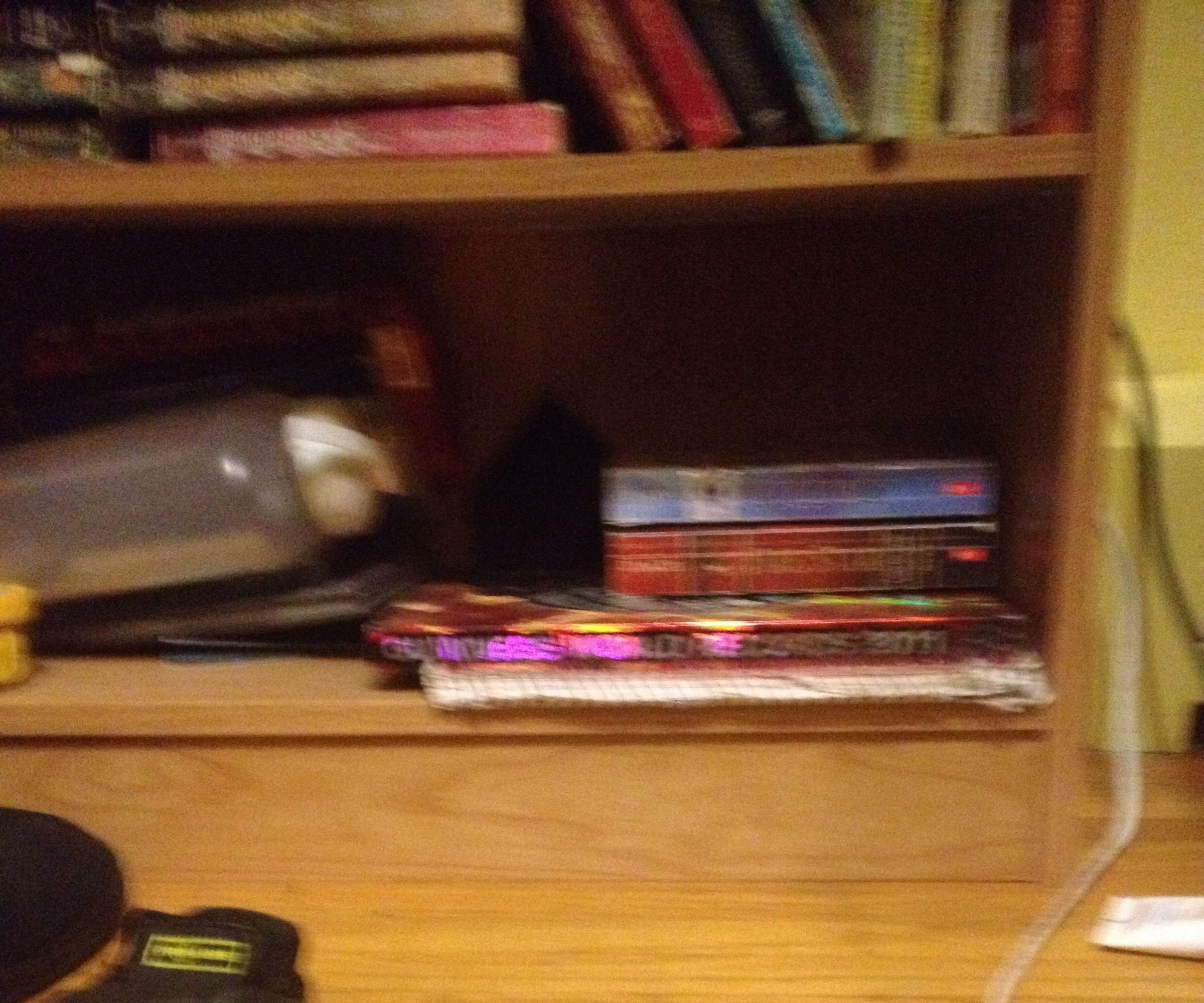 It's a Book Its 2 Books... Oh Wait Its a Hiding Place