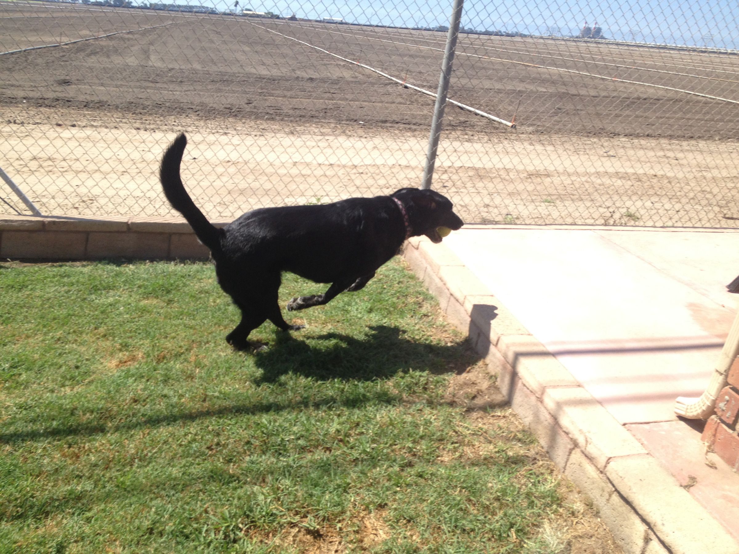 Tips to Running Long an Fast With Getting Tired So Quickly