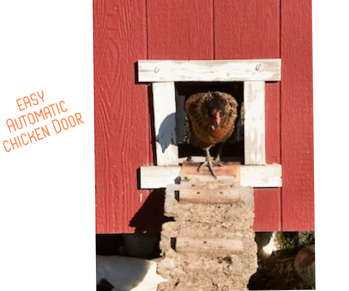 Easy Automatic Chicken Door