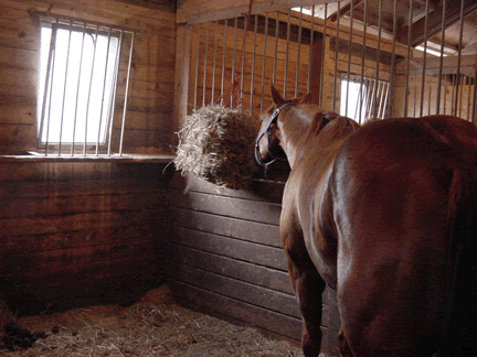 Feed Your Soil for Free While Helping a Horse Rancher