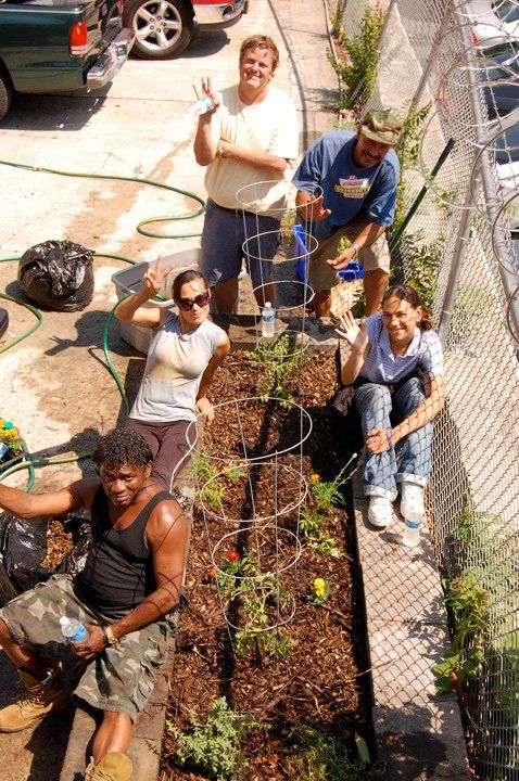 Urban Asphalt Organic Garden