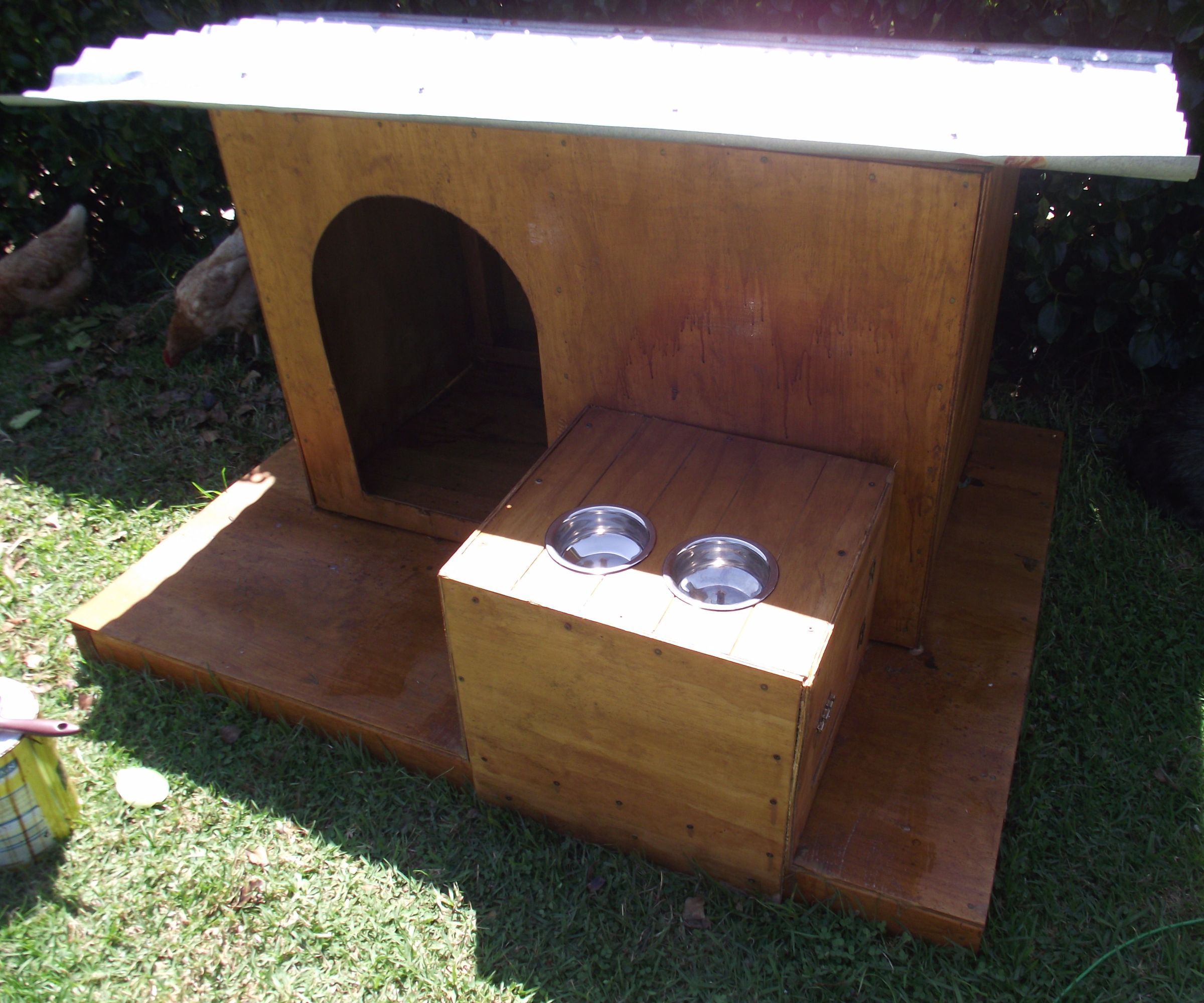 Dog Feeding Station