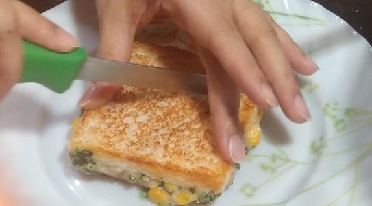 Toasting Our Sandwhich 