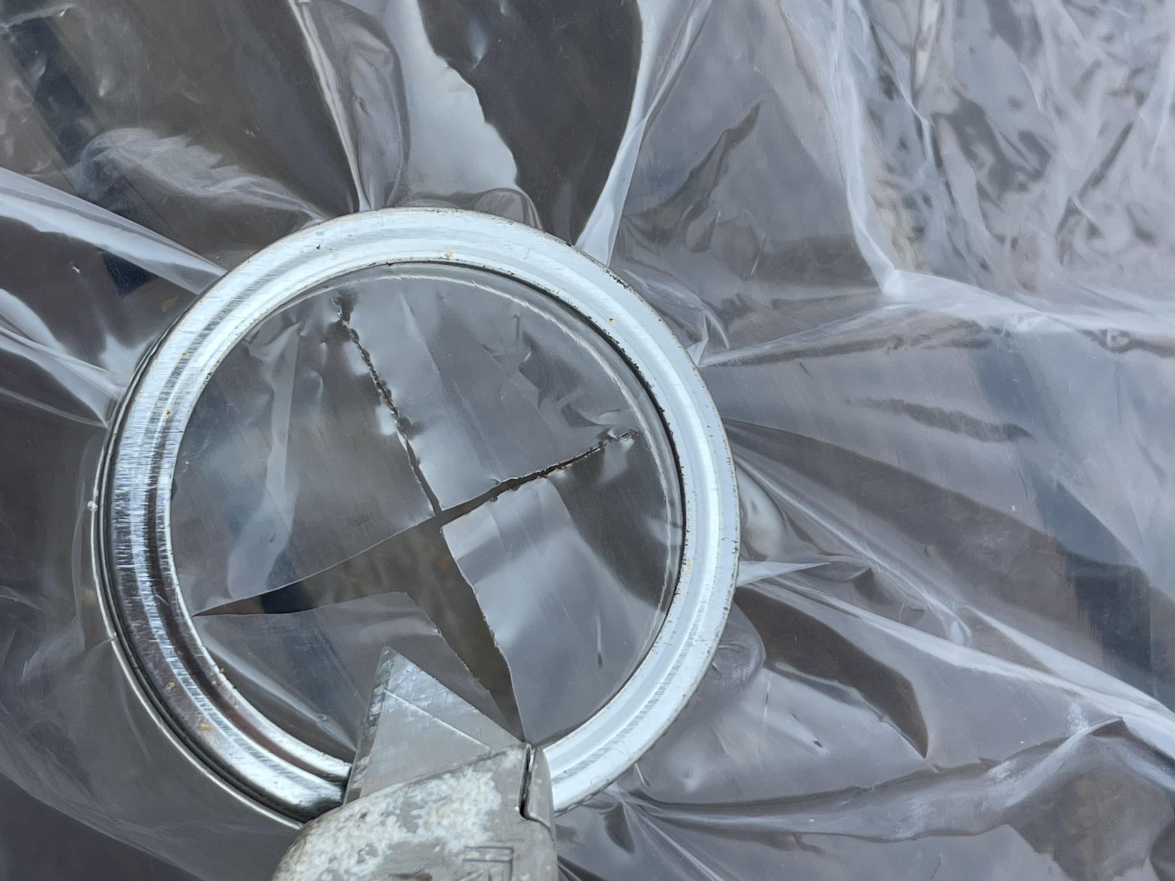 How to Catch for Pet Food. a Trap (with