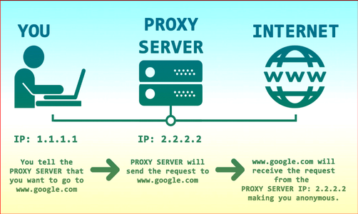 Setup Proxy Server Using Brainy Pi