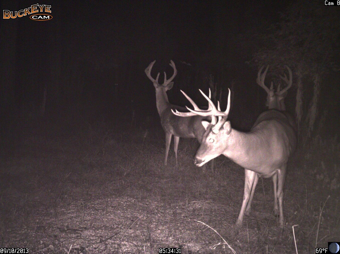 Setting Up a Trail Camera Survey
