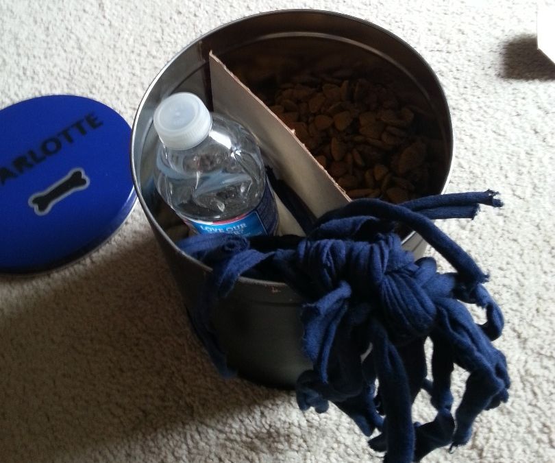 Weekend Dog Travel Kit