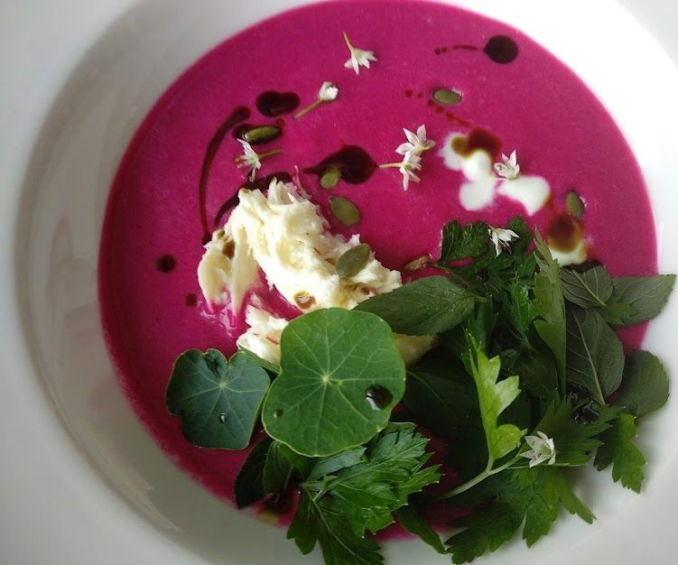 Versatile Uses of Beetroot I. / Cold Beet Soup With Yogurt and Herbs