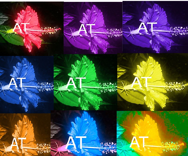 SINGLE Color Into RAINBOW Color