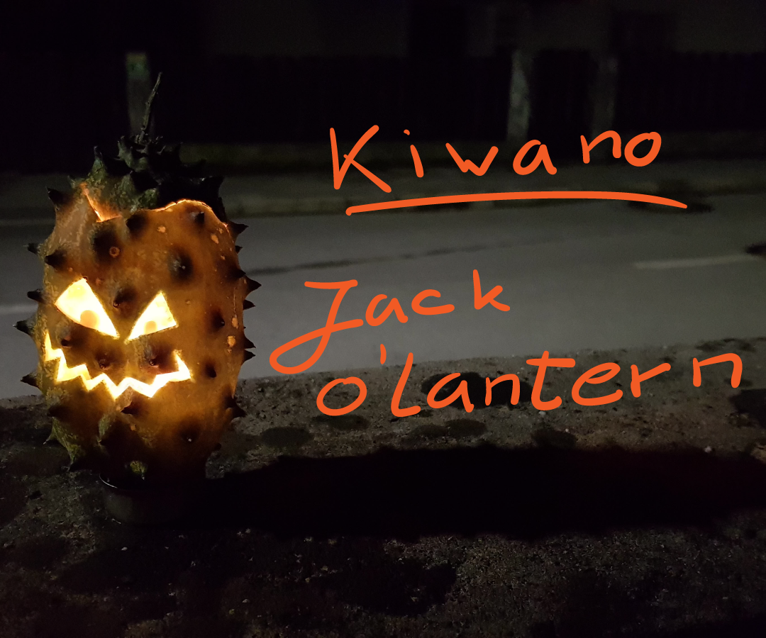 Jack-o'-lantern Kiwano